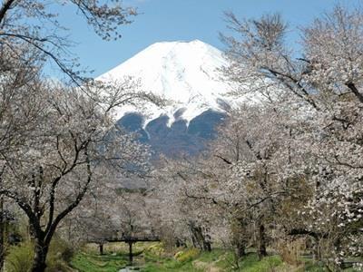 Pension Sumomo No Ki 忍野村 エクステリア 写真