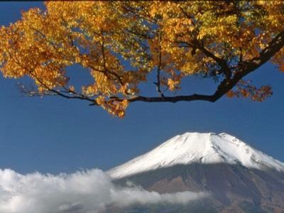 Pension Sumomo No Ki 忍野村 エクステリア 写真