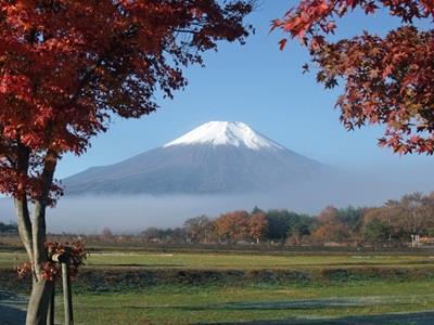 Pension Sumomo No Ki 忍野村 エクステリア 写真